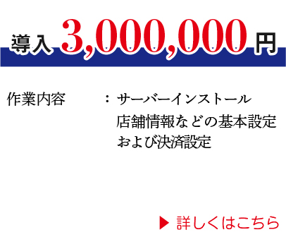 導入　3,000,000円