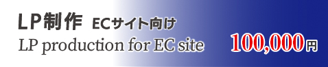 LP ECサイト向け 100,000円